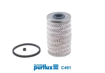 Fuel Filter (C491)
