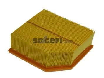 Air Filter (A1147)