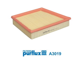 Air Filter (A3019)