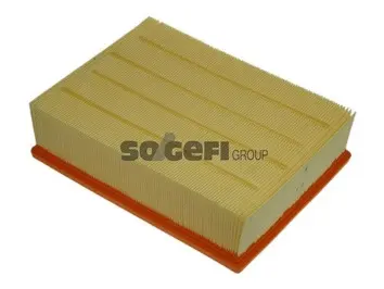 Air Filter (A1119)