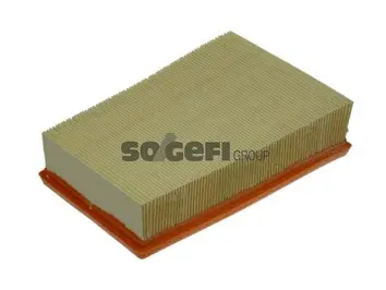 Air Filter (A1317)