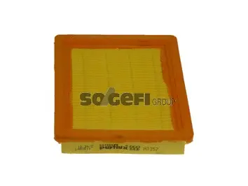 Air Filter (A1357)