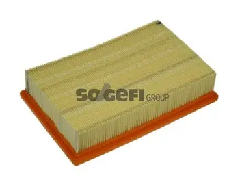 Air Filter (A1170)