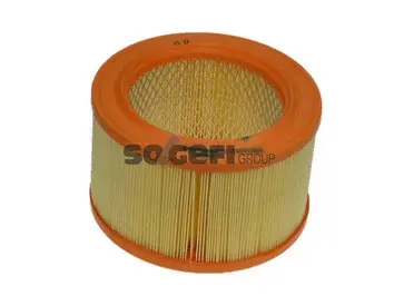 Air Filter (A352)