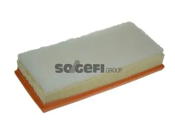 Air Filter (A1325)