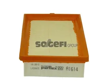 Air Filter (A1614)