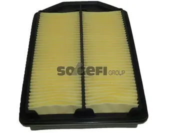 Air Filter (A1587)