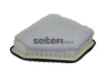 Air Filter (A1306)