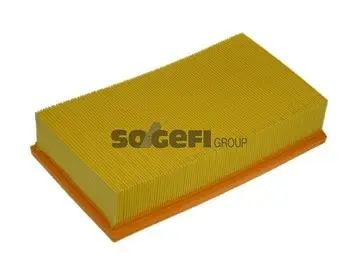 Air Filter (A1096)