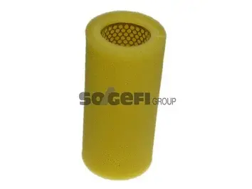 Air Filter (A699)