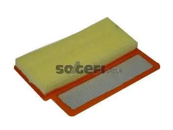 Air Filter (A1459)