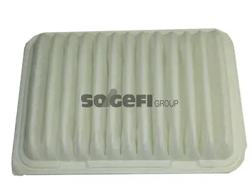Air Filter (A1262)