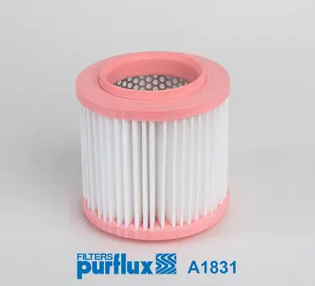Air Filter (A1831)