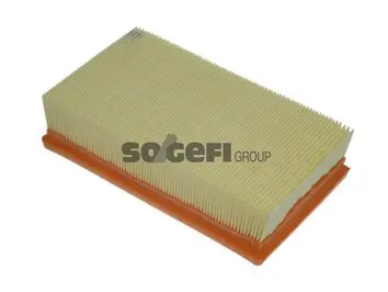 Air Filter (A1222)