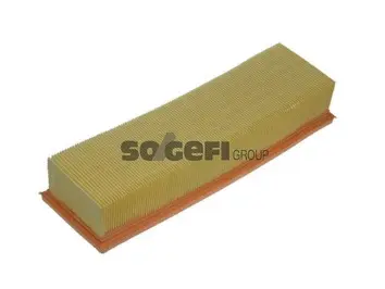 Air Filter (A1142)