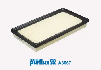 Air Filter (A3067)