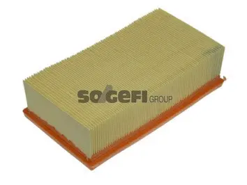 Air Filter (A1039)
