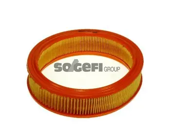 Air Filter (A455)