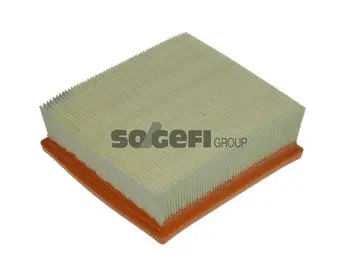 Air Filter (A1234)