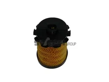 Fuel Filter (C446)