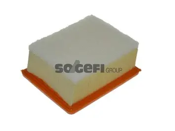 Air Filter (A1159)