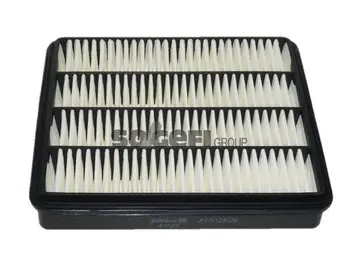 Air Filter (A1521)