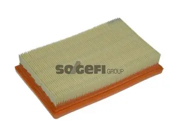 Air Filter (A1253)
