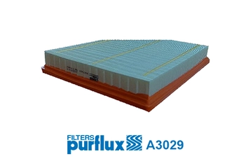 Air Filter (A3029)