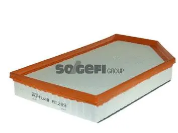 Air Filter (A1289)