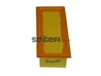 Air Filter (A258)