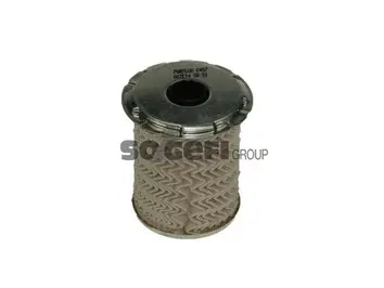 Fuel Filter (C457)