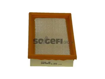 Air Filter (A365)