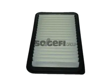 Air Filter (A1556)