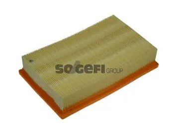 Air Filter (A1171)