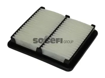 Air Filter (A1060)
