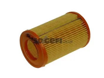 Air Filter (A1055)