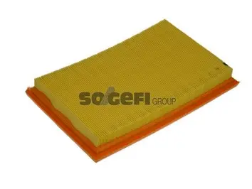 Air Filter (A1156)