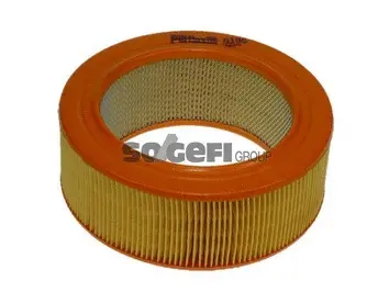 Air Filter (A196)