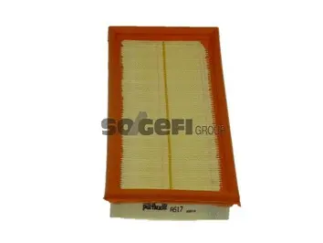Air Filter (A517)