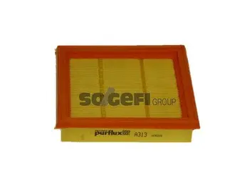 Air Filter (A313)