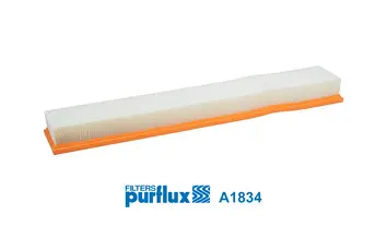 Air Filter (A1834)