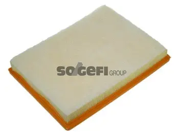 Air Filter (A1250)