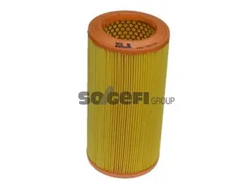 Air Filter (A859)