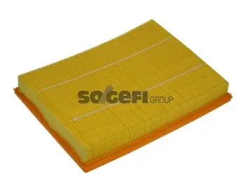 Air Filter (A1167)