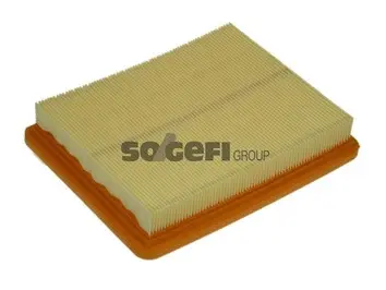 Air Filter (A1175)