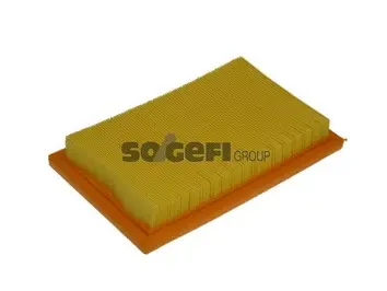 Air Filter (A1031)