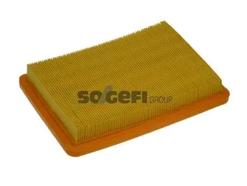 Air Filter (A1359)