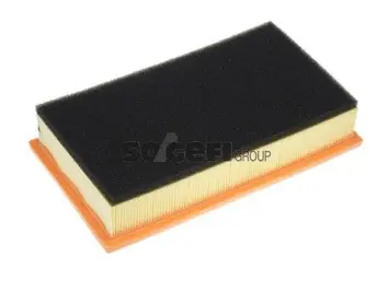 Air Filter (A1092)