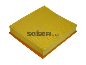 Air Filter (A1087)