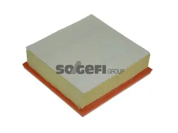 Air Filter (A1223)